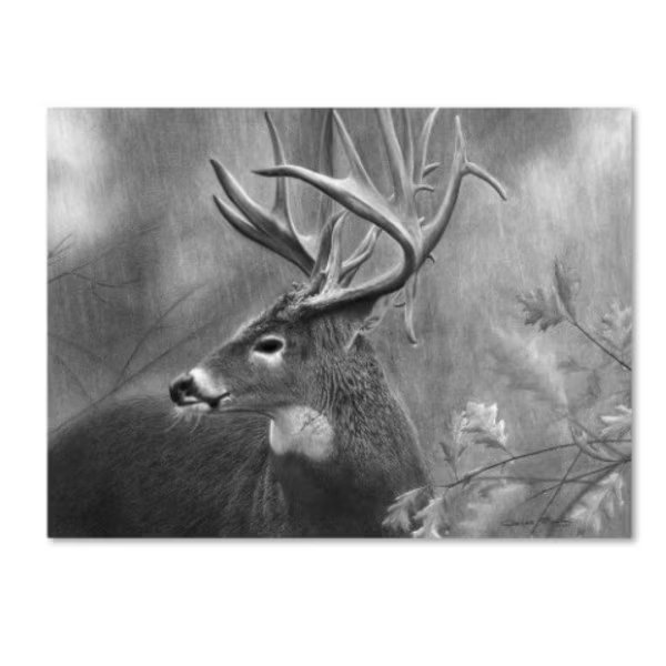 Chuck Black 'Rainy Days' Canvas Art, 18x24, Trademark Fine Art, Mfr#: ALI16379-C1824GG
